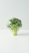 Whole Broccoli Harvest Fresh