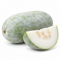 ಬೂದು ಕುಂಬಳಕಾಯಿ — Ash Gourd on a white background
