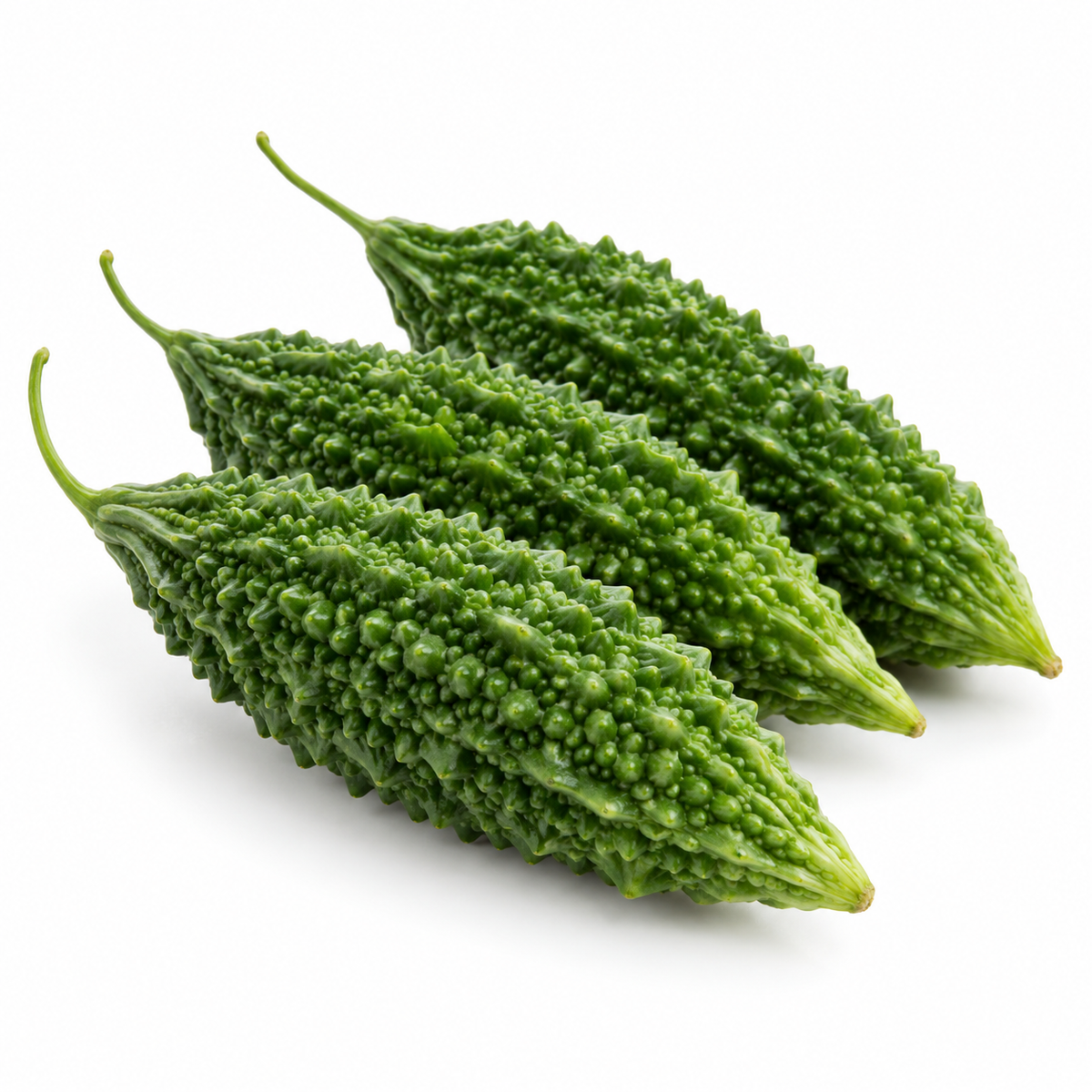 ಹಾಗಲಕಾಯಿ — Bitter Gourd on a white background