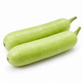 ಸೊರೆಕಾಯಿ — Bottle Gourd on a white background