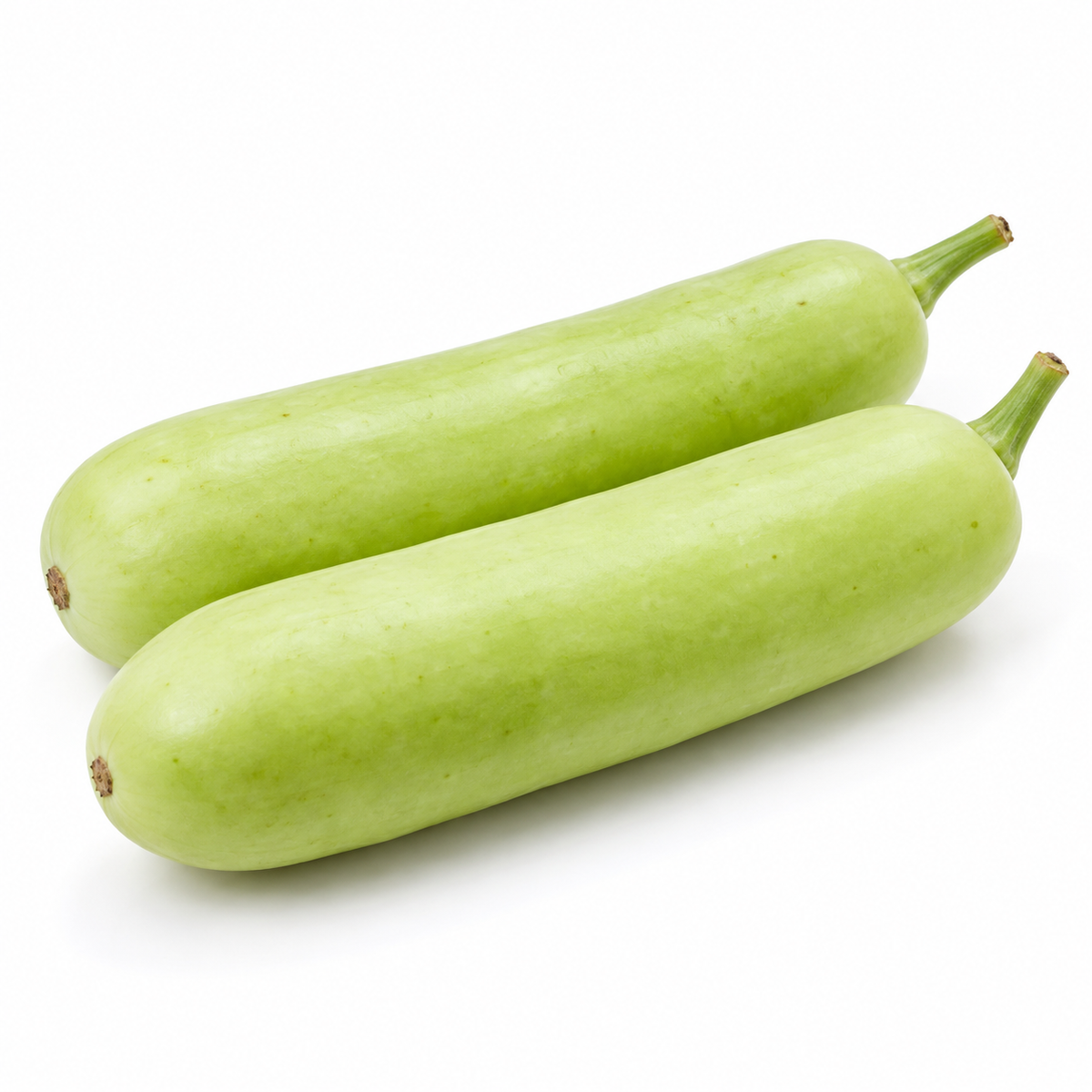 ಸೊರೆಕಾಯಿ — Bottle Gourd on a white background