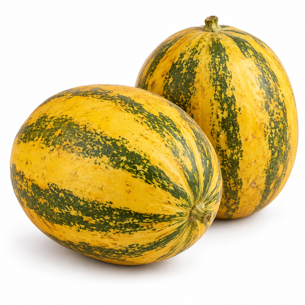 ಮಂಗಳೂರು ಸೌತೆಕಾಯಿ — Mangalore Cucumber on a white background
