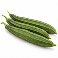 ಹೀರೆಕಾಯಿ — Ridge Gourd on a white background